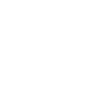 Ajuntament d'Alzira